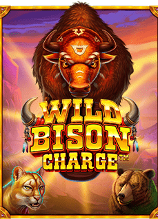 แนะนำ sbobet-online.co ฟร 300 และเทคนิคชนะง่าย